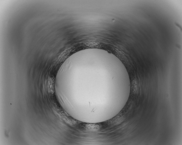 X0000100220234200806201515