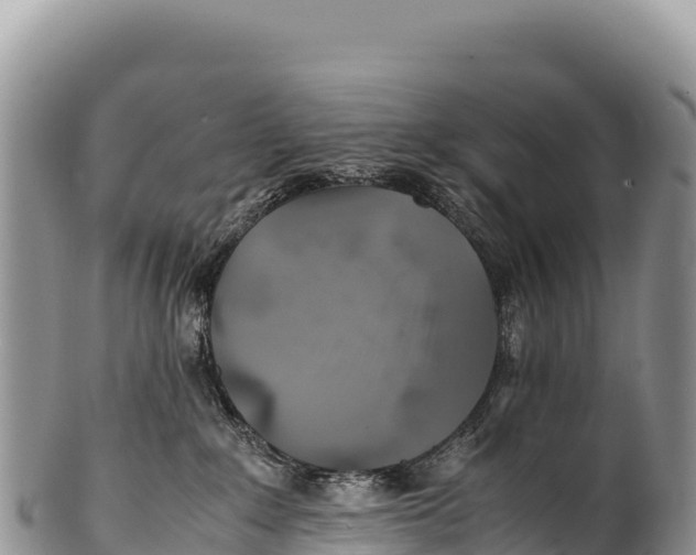 X0000100220235200806201515