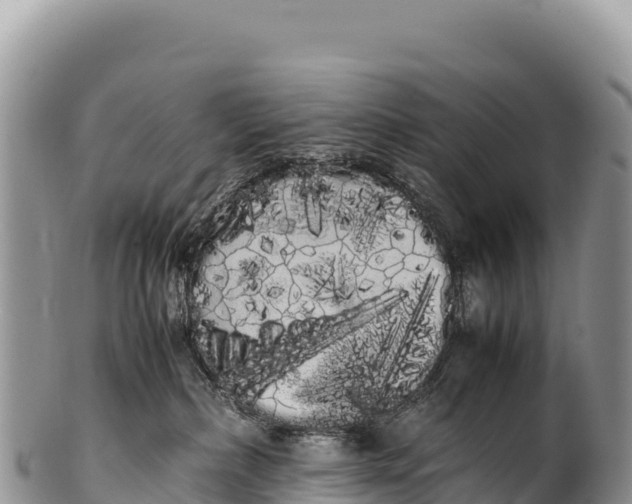 X0000100220236200806201515