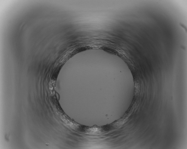 X0000100220237200806201515