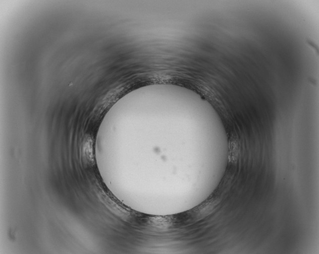 X0000100220238200806201515