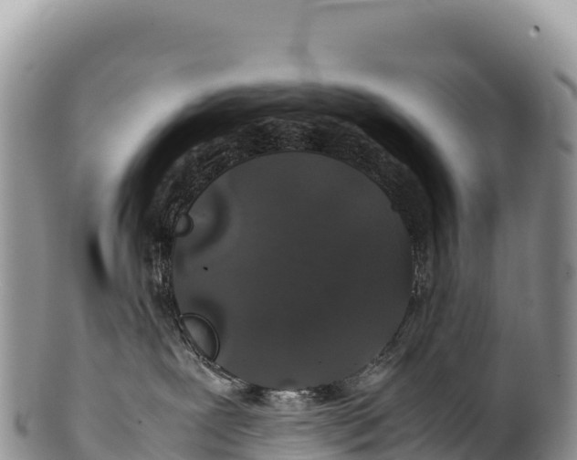 X0000100220239200806201515