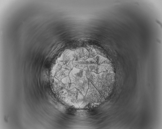 X0000100220240200806201515