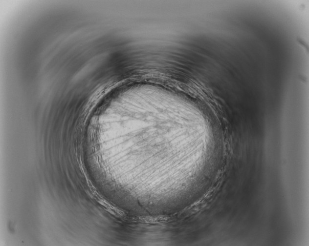 X0000100220241200806201514