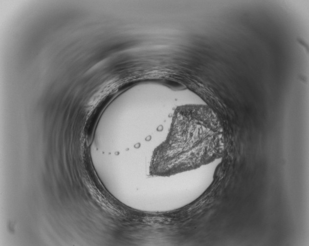 X0000100220242200806201514