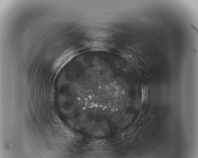 X0000100220243200806201514