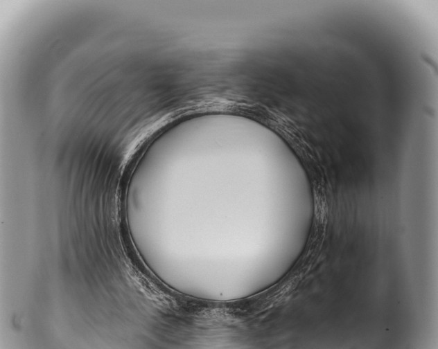 X0000100220244200806201514