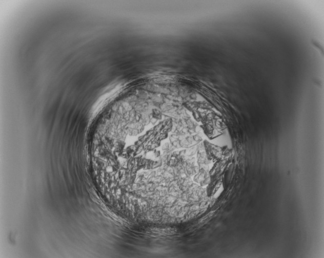 X0000100220245200806201514