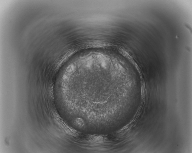 X0000100220249200806201515