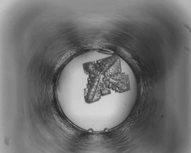 X0000100220250200806201515