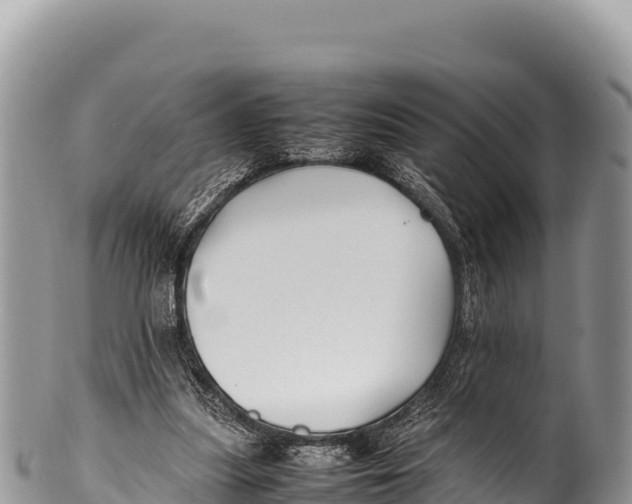 X0000100220251200806201515