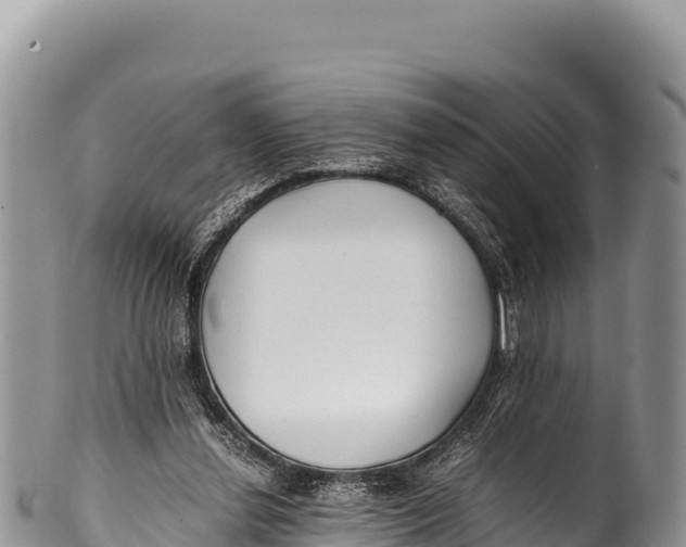 X0000100220252200806201515