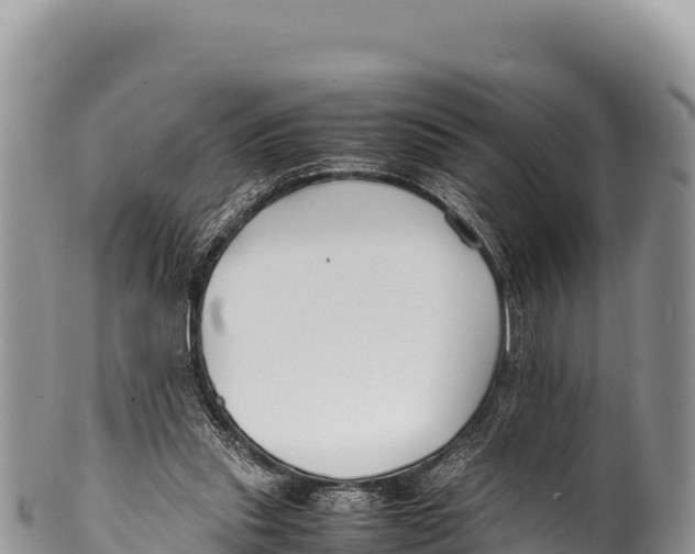 X0000100220253200806201515