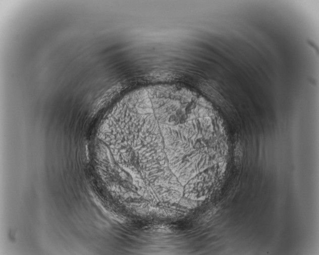 X0000100220254200806201515