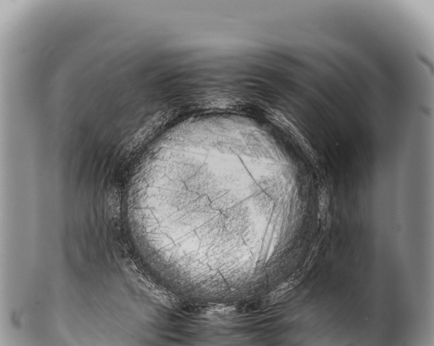 X0000100220257200806201515