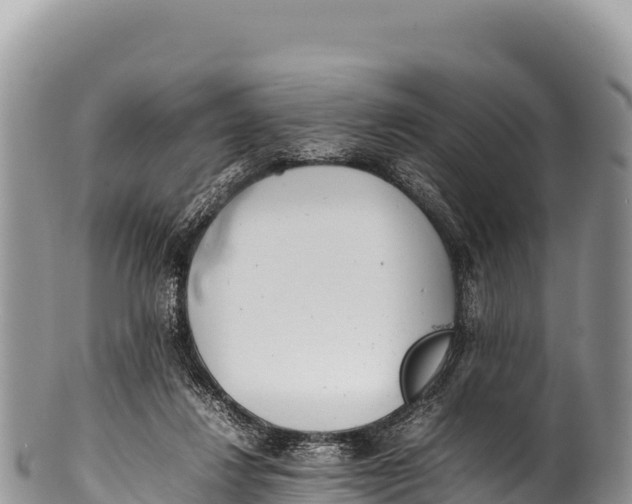 X0000100220260200806201515