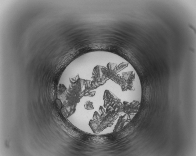 X0000100220261200806201515