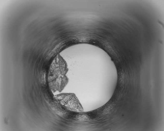 X0000100220262200806201515