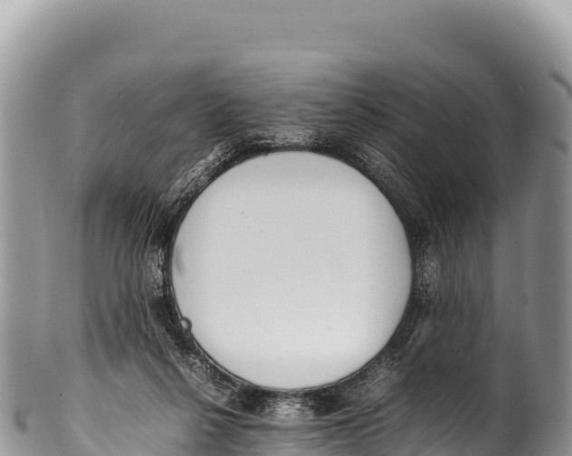 X0000100220264200806201515