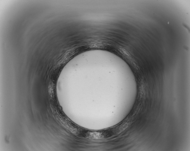 X0000100220265200806201515