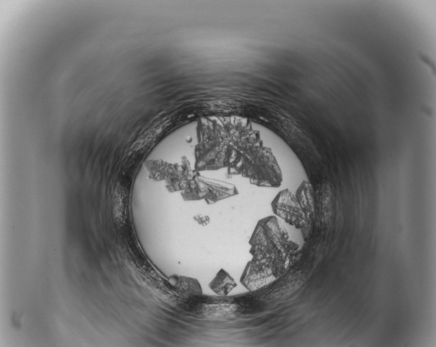 X0000100220266200806201515