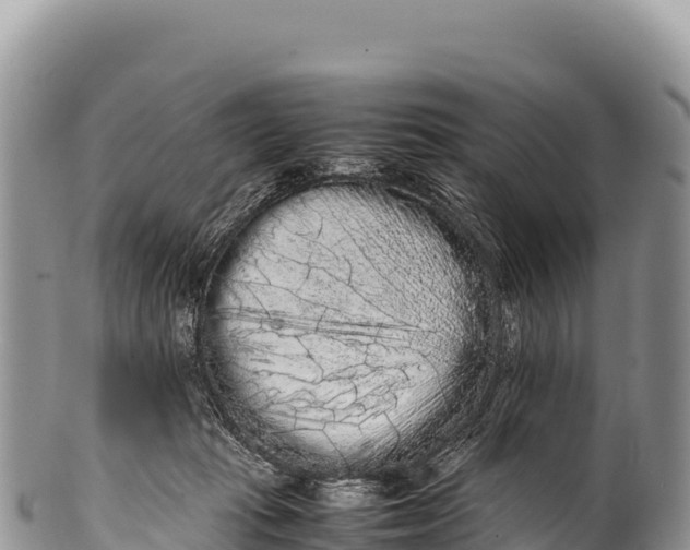 X0000100220269200806201515