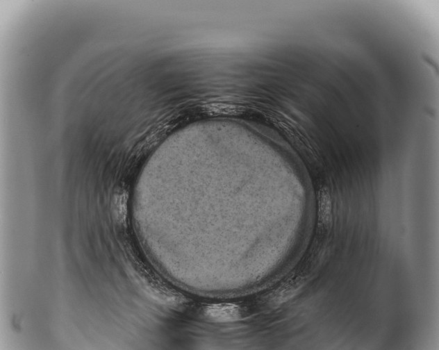 X0000100220271200806201515