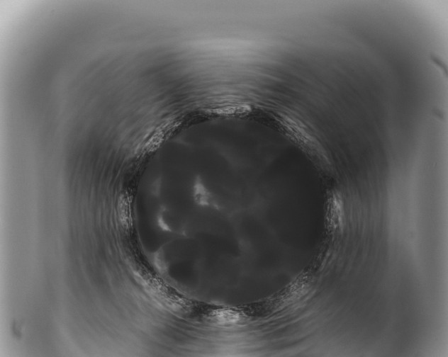 X0000100220272200806201515