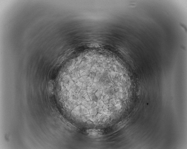 X0000100220273200806201515