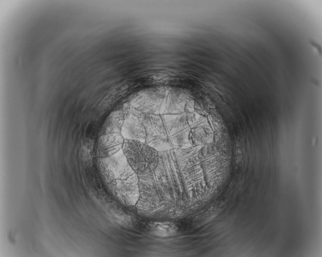 X0000100220275200806201515