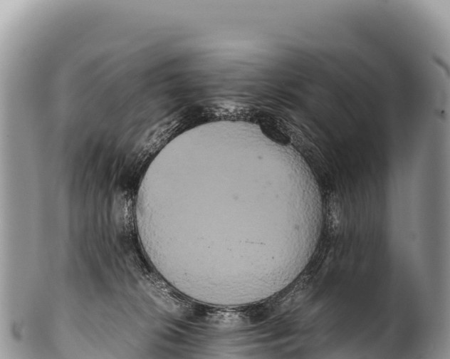 X0000100220276200806201515