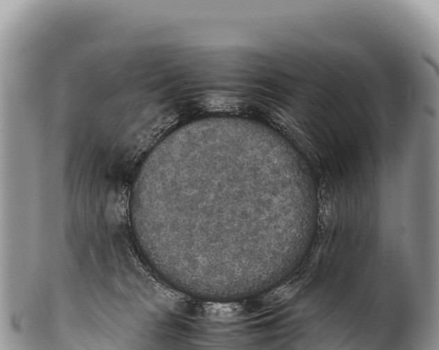 X0000100220277200806201515