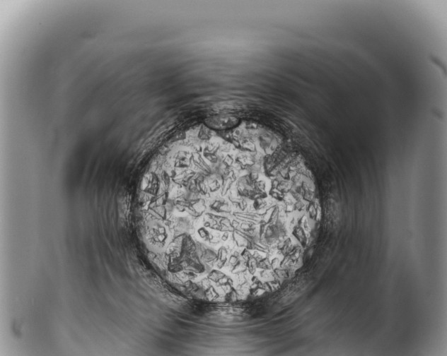 X0000100220278200806201515