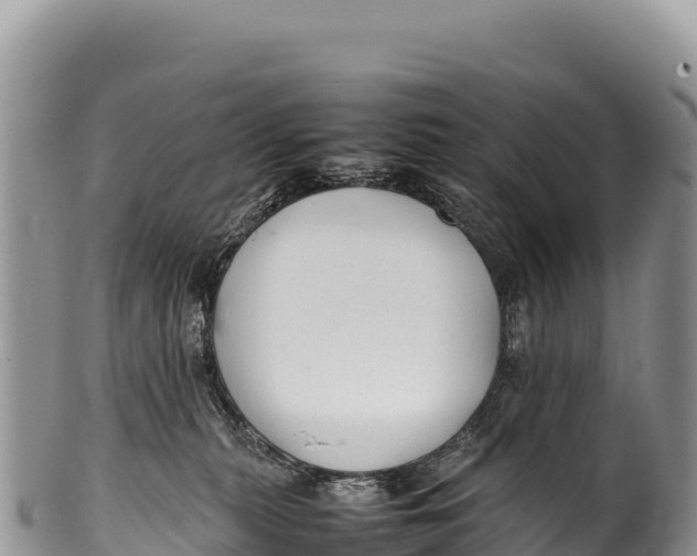 X0000100220279200806201515