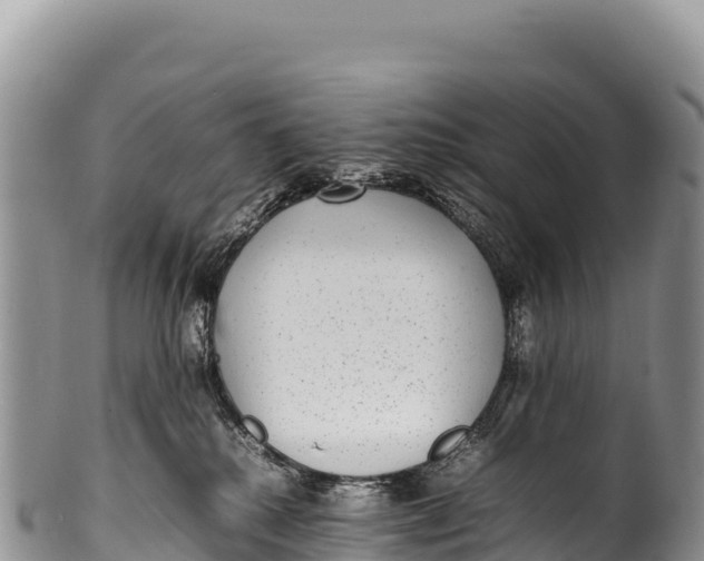 X0000100220280200806201515