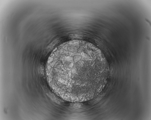 X0000100220282200806201515