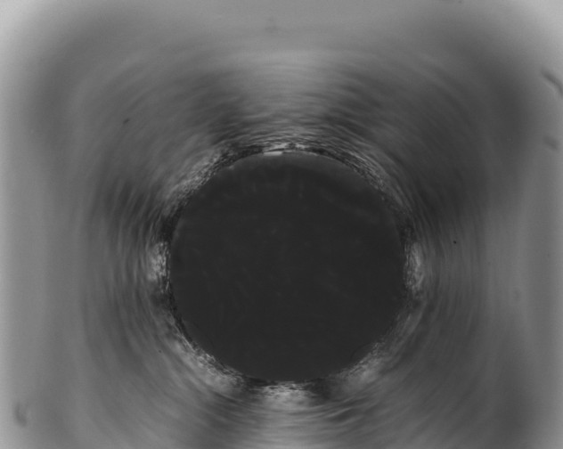 X0000100220284200806201515