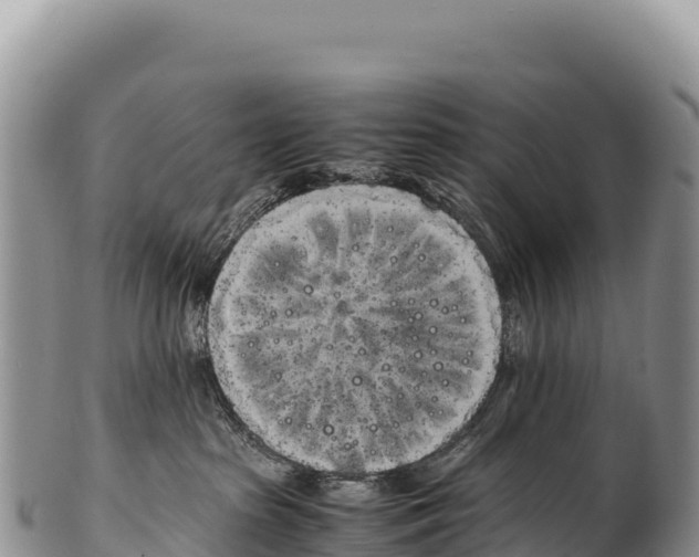 X0000100220285200806201515