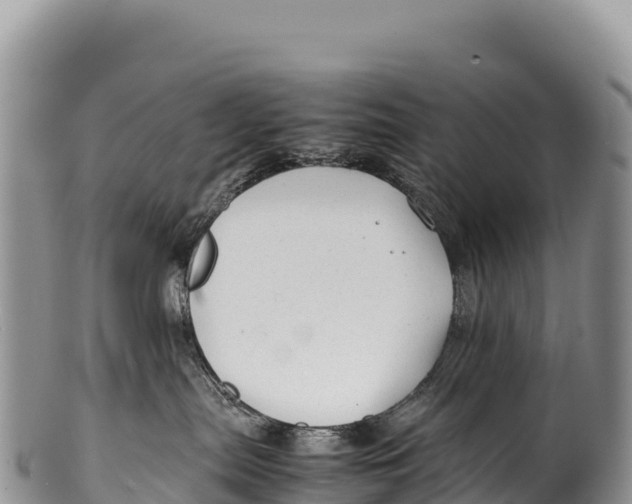 X0000100220287200806201515