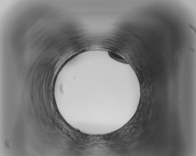 X0000100220289200806201514