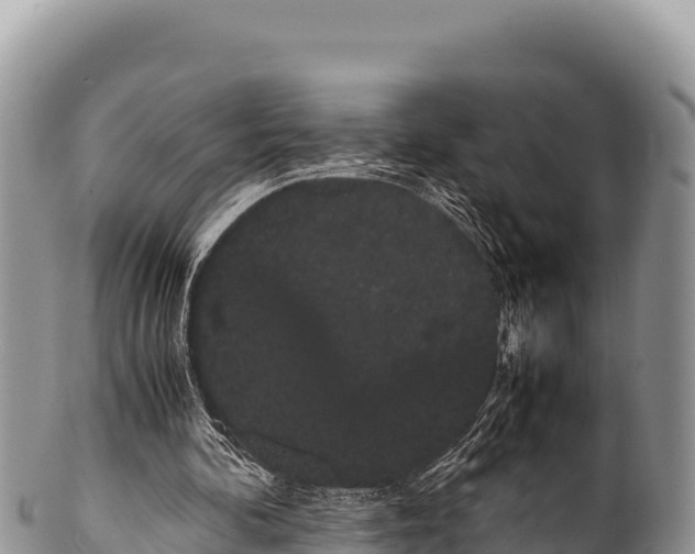 X0000100220292200806201514