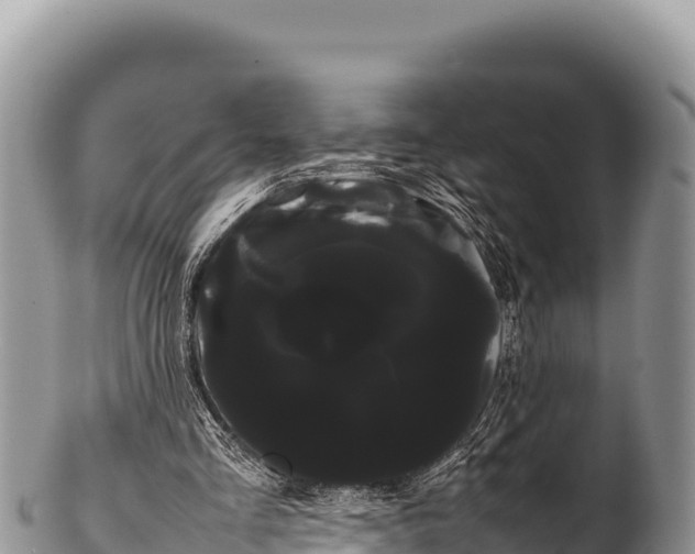 X0000100220293200806201514