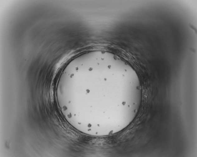 X0000100220294200806201514