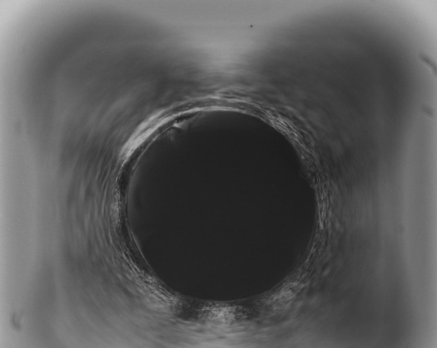 X0000100220295200806201514