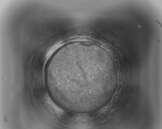 X0000100220296200806201514