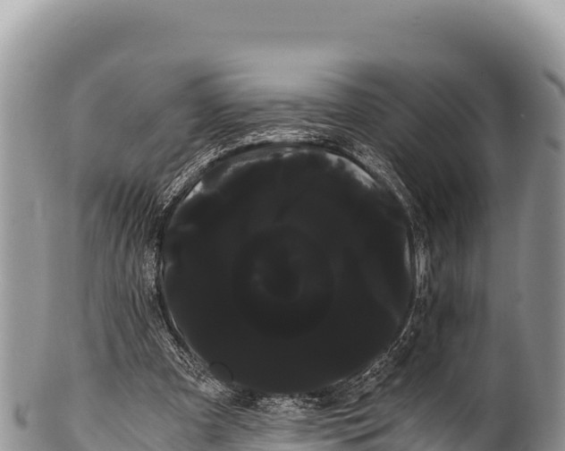 X0000100220297200806201514