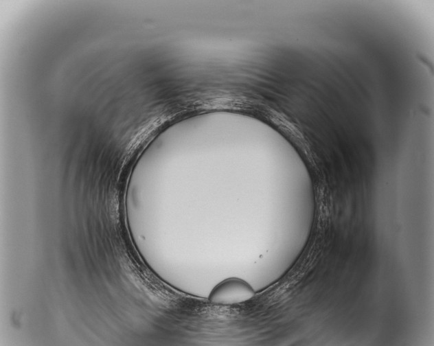 X0000100220298200806201514