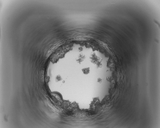 X0000100220299200806201514