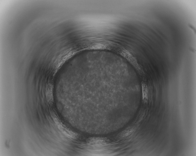 X0000100220300200806201514