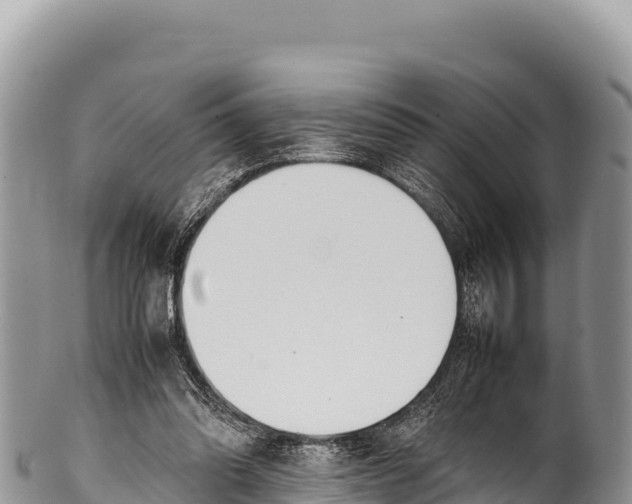 X0000100220302200806201514